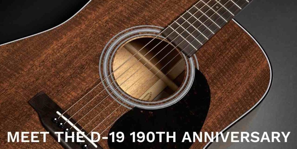 martin d19 190th anniversary guitar